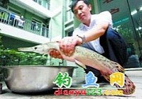 怪魚(yú)吃掉幾百條觀賞魚(yú)