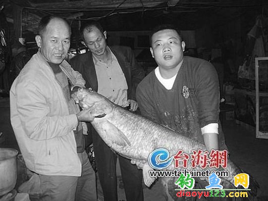 九龍江釣魚(yú)