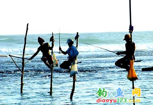 印度斯里兰卡钓鱼