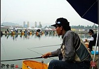 [钓鱼比赛]竞技钓罗非鱼的技巧