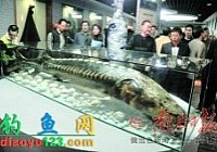 中國首個(gè)釣魚文化博物館正式對(duì)外開放